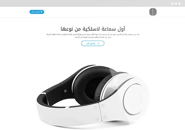 صفحة هبوط، ترويجي